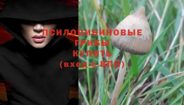 ECSTASY Карпинск