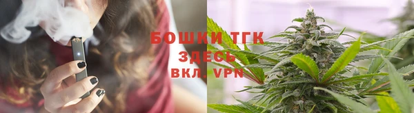 винт Каменка